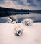 The three sisters in the snow