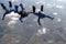 Three skydivers in a line behind each other