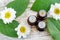 Three small bottles with essential oils. Old wooden background with green leaves and daisy flowers. Aromatherapy and spa