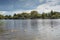 Three small cute cygnet in river Corrib, Galway city, Ireland. Warm sunny day. Nature environment