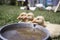 Three small goose rest at the bowl with water in good weather in