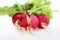 Three small radishes on a white background, one of which is cracked as a result of an overabundance of moisture in the