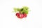 Three small radishes on a white background, one of which is cracked as a result of an overabundance of moisture in the