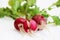 three small radishes on a white background, one of which is cracked as a result of an overabundance of moisture in the soil.