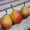 Three small Seckel pears in a row