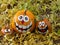Three Smiling Painted Halloween Pumpkins in a Row Surrounded by