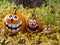 Three Smiling Painted Halloween Pumpkins with a Tree Trunk in th