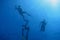 three snorkelers on the water surface