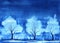 Three snowy white trees. Winter landscape. Thin graceful branches and trunk. Dark blue night sky. Hand drawn watercolor
