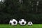 Three soccer balls stand in a row on the green grass. Sport game.