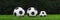Three soccer balls stand in a row on the green grass. Sport game. banner