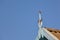 Three sparrows on roof decoration