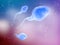 Three sperm cells