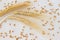 Three spikelets of wheat and grain on white background