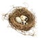 Three spotted eggs in a hay nest