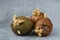 The three sprouted tubers of a potato on a grey concrete background, horizontal, copy space