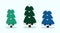 Three spruce in cartoon style. Different isolated Christmas trees with snow on the branches. Collection of flat trees