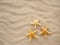 Three starfish are lying on the sand. Concept of vacation, sea, travel