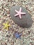 Three of starfish and natural stones
