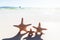 Three starfish on sandy beach