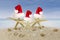 Three starfish wearing Santa hat on beach