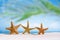 Three starfish on white sand beach with ocean