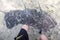 Three stingrays and a school of fish swim over a mans feet in shallow, tropical ocean water