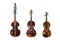 Three stringed musical instruments of the viol family in comparison, viola d amore, viola and violin, isolated on a white