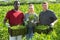 Three successful farmers showcase full boxes of ripe beans