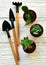 Three succulent pots and mini tools for gardening at home on a white wooden background. Top view.