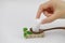 Three sugar cubes on a wooden spoon above sugar five letter character a green leaf on white background a hand grab a sugar cube