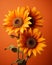 three sunflowers against an orange background