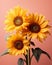 three sunflowers are in a vase on a pink background