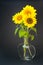 Three sunflowers in vase with water.