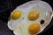Three sunny side up eggs cooking in frying pan