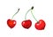 Three sweet heart shaped red cherries isolated watercolor illustration