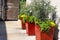 Three tall brown rectangular flower pots filled with lush green plants and colorful flowers next to a gray wall