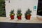 Three tall brown rectangular flower pots filled with lush green plants and colorful flowers next to a gray wall