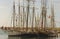 Three Tall Ships in Dana Point