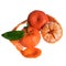 Three tangerines with leaves isolated on a white background. One tangerine with partial peel