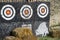 Three targets with arrows in the yard outdoors