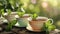 Three teacups filled with tea and mint leaves