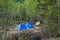 Three tents in a clearing among the trees. Blue and yellow.