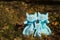 Three textile toys cats, sit together on the yellow foliage, on