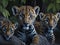 Three tiger cubs at a family gathering