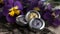 three tins of silver and gold sitting on a rock with purple flowers in the background and a yellow and purple flower in the