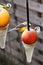 Three titmice sitting on frozen apple