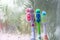 Three toothbrushes in the early morning light