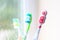 Three toothbrushes in the early morning light