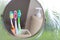 Three toothbrushes reflected in a mirror